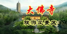 免费黄色骚逼视频中国浙江-新昌大佛寺旅游风景区
